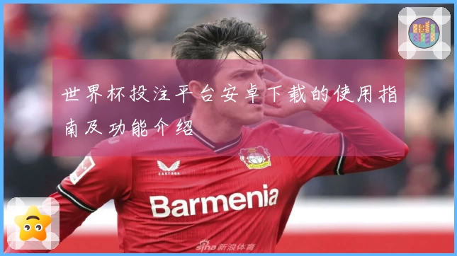 世界杯投注平台安卓下载的使用指南及功能介绍