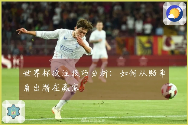 世界杯投注技巧分析：如何从赔率看出潜在赢家