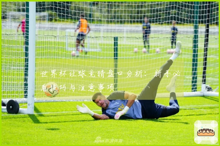 世界杯让球竞猜盘口分析：新手必看技巧与注意事项