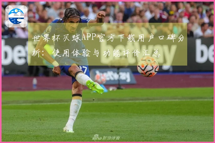 世界杯买球APP官方下载用户口碑分析：使用体验与功能评价汇总