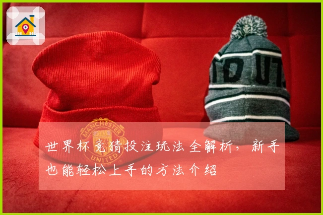 世界杯竞猜投注玩法全解析，新手也能轻松上手的方法介绍