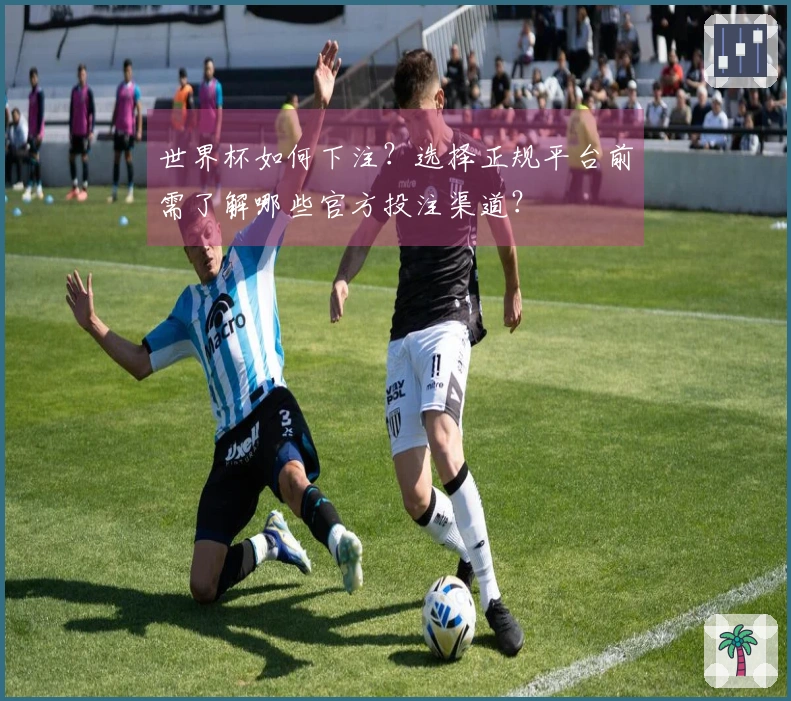世界杯如何下注?选择正规平台前需了解哪些官方投注渠道?