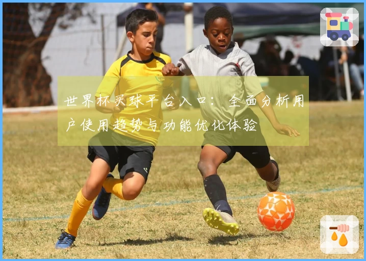 世界杯买球平台入口：全面分析用户使用趋势与功能优化体验