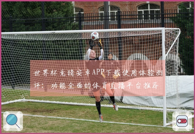 世界杯竞猜安卓APP下载使用体验测评：功能全面的体育直播平台推荐