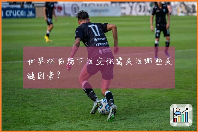 世界杯临场下注变化需关注哪些关键因素？