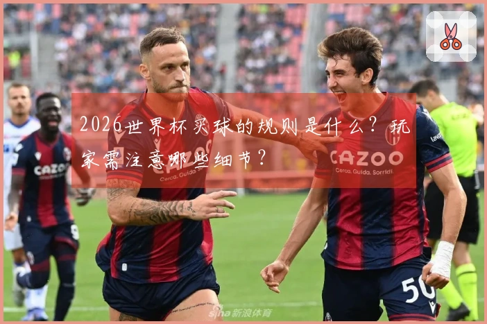 2026世界杯买球的规则是什么？玩家需注意哪些细节？