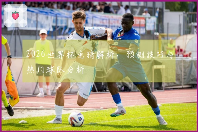2026世界杯竞猜解析，预测技巧与热门球队分析