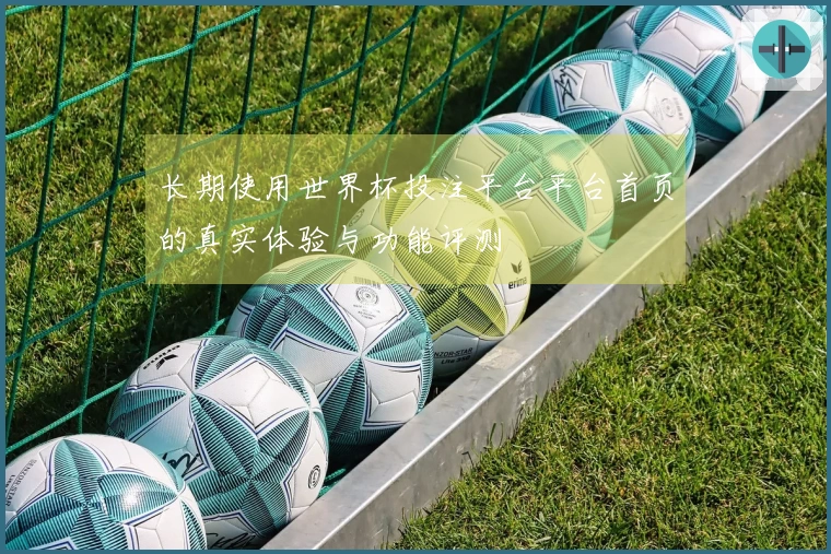 长期使用世界杯投注平台平台首页的真实体验与功能评测