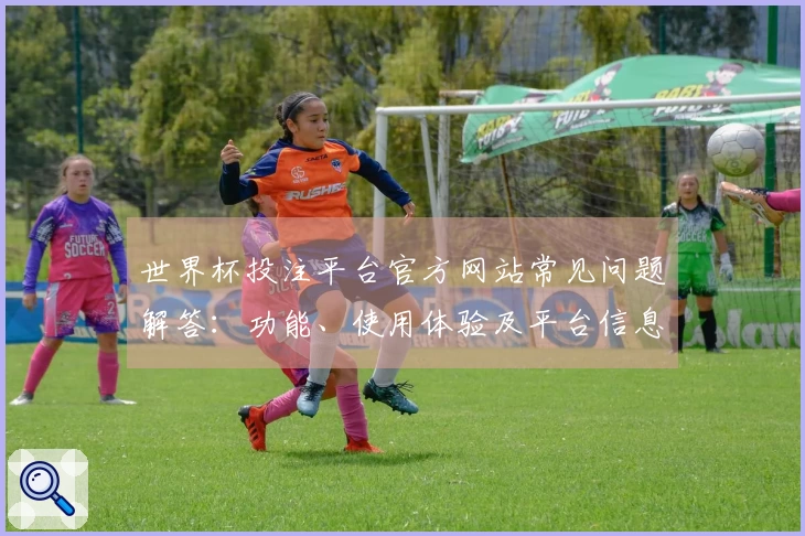 世界杯投注平台官方网站常见问题解答：功能、使用体验及平台信息指南
