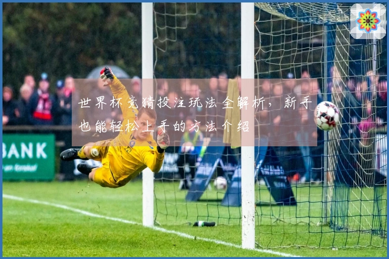 世界杯竞猜投注玩法全解析，新手也能轻松上手的方法介绍