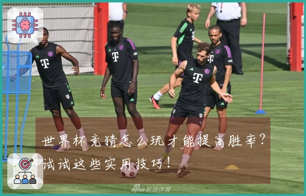 世界杯竞猜怎么玩才能提高胜率？试试这些实用技巧！