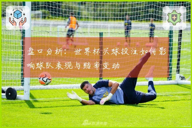 盘口分析：世界杯买球投注如何影响球队表现与赔率变动