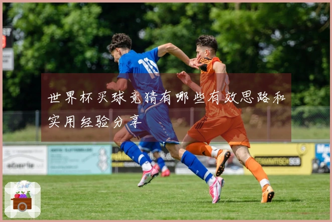 世界杯买球竞猜有哪些有效思路和实用经验分享