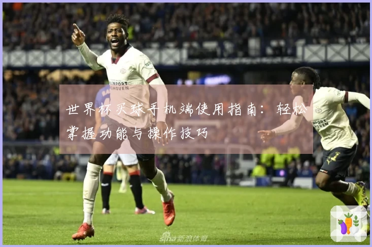 世界杯买球手机端使用指南：轻松掌握功能与操作技巧